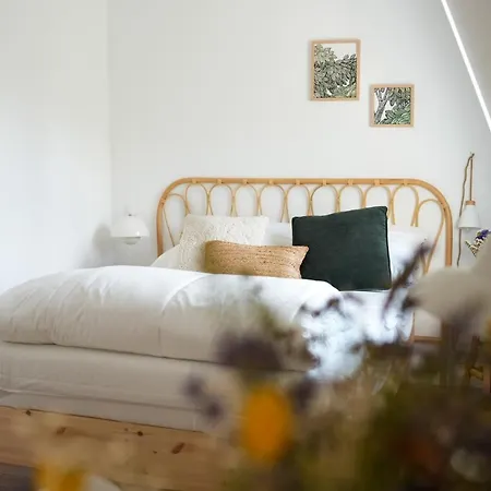 펜션 Les Hirondelles, De Charme Avec Jardin, 7p 생발레리 쉬르 솜므