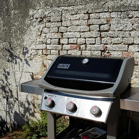 Les Hirondelles, De Charme Avec Jardin, 7p Feriehus